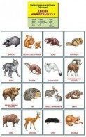 Раздаточные карточки "Дикие животные (1)" - fgospostavki.ru - Уссурийск