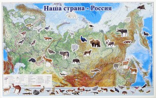 Магнитные карточки "Животные" - fgospostavki.ru - Уссурийск
