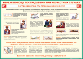 Таблица "Порядок действий при переломах конечностей" (100х140 сантиметров, винил) - fgospostavki.ru - Уссурийск