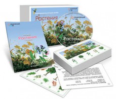Комбинированное наглядное пособие «Растения» - fgospostavki.ru - Уссурийск