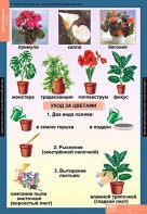 Комплект таблиц. Окружающий мир 1 класс. - fgospostavki.ru - Уссурийск