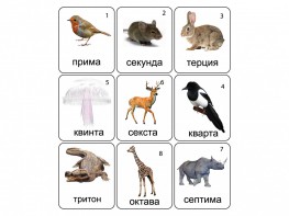 Набор магнитных карточек по музыке "Животные" (9 штук) - fgospostavki.ru - Уссурийск