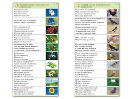 Комплект карточек (10) "Обучающий калейдоскоп. Природа" - fgospostavki.ru - Уссурийск