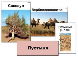 Модель-аппликация "Природные зоны России" (ламинированная) - fgospostavki.ru - Уссурийск