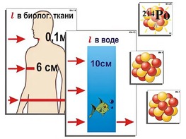 Модель-аппликация "Явление радиоактивности" (ламинированная) - fgospostavki.ru - Уссурийск