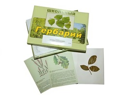 Гербарий "Дикорастущие растения" (30 видов, с иллюстрациями) - fgospostavki.ru - Уссурийск