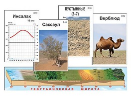 Модель-аппликация "Природные зоны" - fgospostavki.ru - Уссурийск