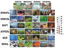Фенологические наблюдения - fgospostavki.ru - Уссурийск