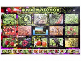 Комплект оборудования "Живой уголок" (растения) с тифлопереводом и сурдокомментариями - fgospostavki.ru - Уссурийск