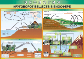Таблица "Круговорот веществ в биосфере" (100х140 сантиметров, винил) - fgospostavki.ru - Уссурийск