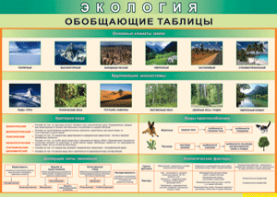 Таблица "Экология. Обобщающие таблицы" (100х140 сантиметров, винил) - fgospostavki.ru - Уссурийск