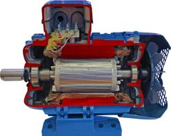 Учебная модель «Электродвигатель асинхронный в разрезе» - fgospostavki.ru - Уссурийск