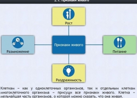 Интерактивные курсы. Биология 5 класс. Базовый - fgospostavki.ru - Уссурийск
