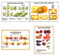 Плакаты ПРОФТЕХ "Ассортимент овощных культур" (12 пл, винил, 70х100) - fgospostavki.ru - Уссурийск