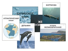 Модель-аппликация "Океаны. Знакомство" (ламинированная) - fgospostavki.ru - Уссурийск