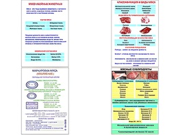 Плакаты ПРОФТЕХ "Классификации и виды мяса" (4 пл, винил, 70х100) - fgospostavki.ru - Уссурийск