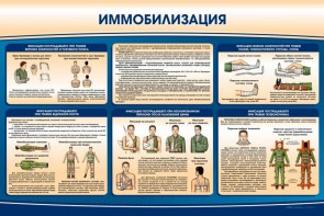 Стенд "Иммобилизация" - fgospostavki.ru - Уссурийск