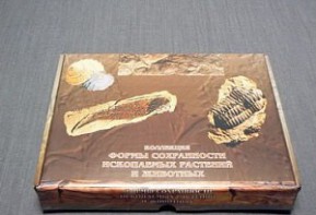 Коллекция "Формы сохранности ископаемых растений и животных" - fgospostavki.ru - Уссурийск