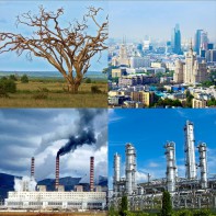 Модель-аппликация Биосфера и человек - fgospostavki.ru - Уссурийск