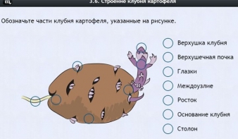 Интерактивные курсы. Биология 6 класс. Расширенный - fgospostavki.ru - Уссурийск