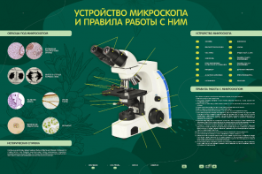 Электрифицированный стенд "Устройство микроскопа и правила работы c ним" - fgospostavki.ru - Уссурийск