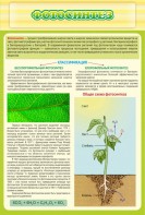 Стенд "Фотосинтез" - fgospostavki.ru - Уссурийск