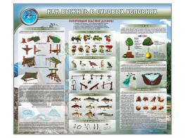 Стенд "Как выжить в суровых условиях" - fgospostavki.ru - Уссурийск