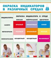 Стенд "Окраска индикаторов в различных средах" - fgospostavki.ru - Уссурийск
