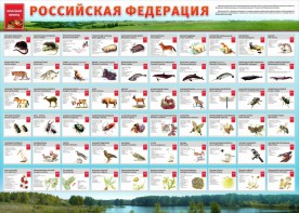 Стенд "Красная книга РФ" - fgospostavki.ru - Уссурийск