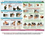 Комплект плакатов "Оказание первой доврачебной медицинской помощи" - fgospostavki.ru - Уссурийск