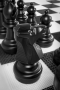 Напольные фигуры шахматные гигантские 61 - fgospostavki.ru - Уссурийск