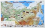 Магнитные карточки "Животные" - fgospostavki.ru - Уссурийск