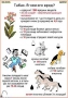 Комплект кодотранспарантов "Ядовитые растения" - fgospostavki.ru - Уссурийск