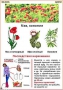 Комплект кодотранспарантов "Ядовитые растения" - fgospostavki.ru - Уссурийск